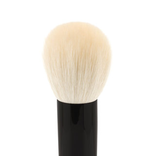 Brush 13 Face Brush 