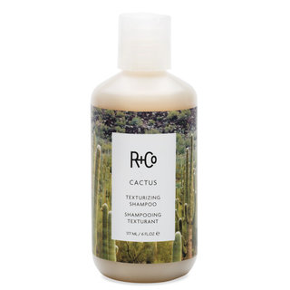 R+Co Cactus Texturizing Shampoo