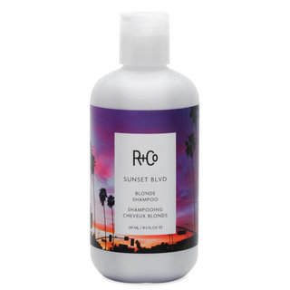 R+Co Sunset Blvd Blonde Shampoo